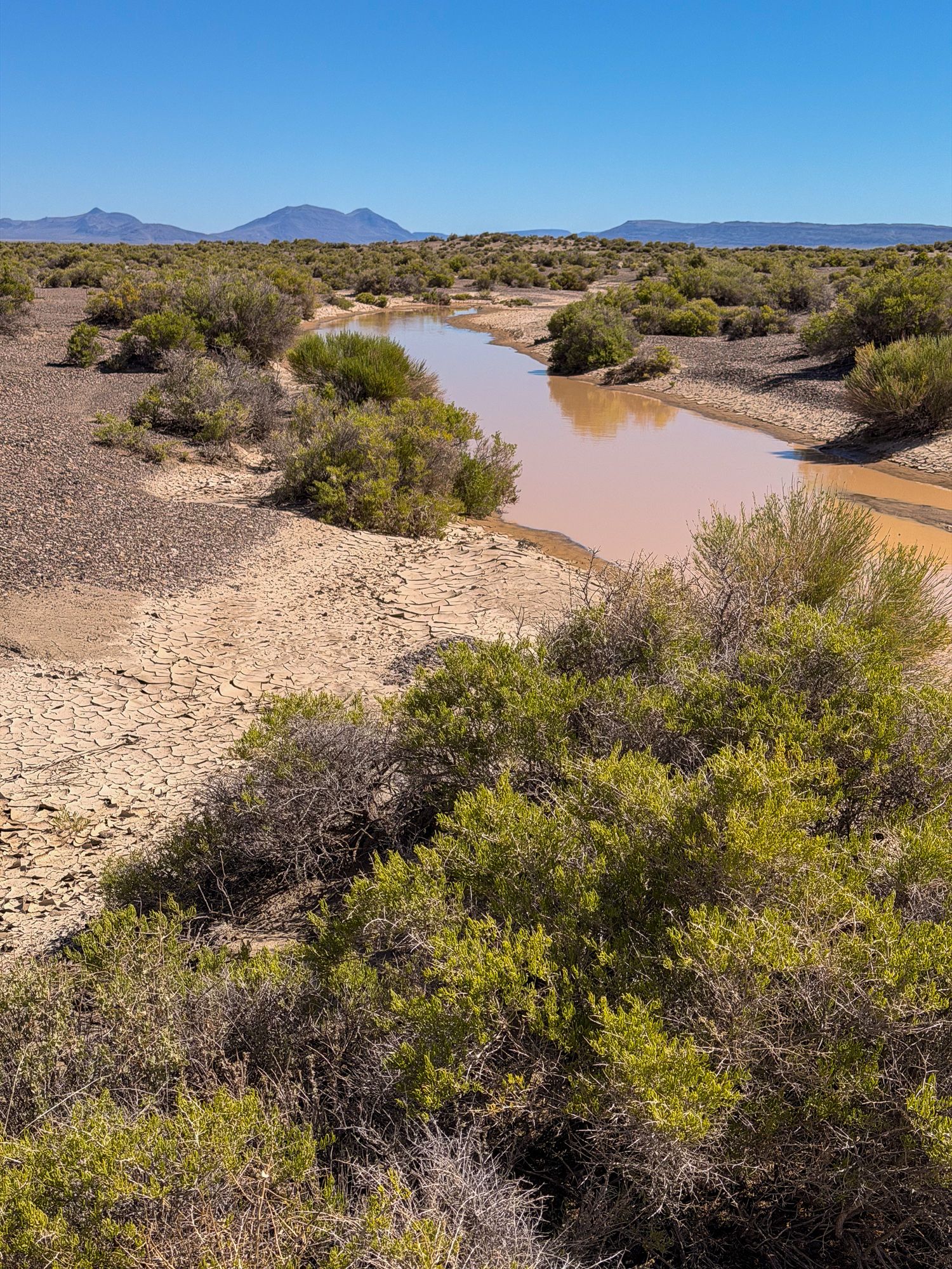 Crossing the dry mud flats heading south