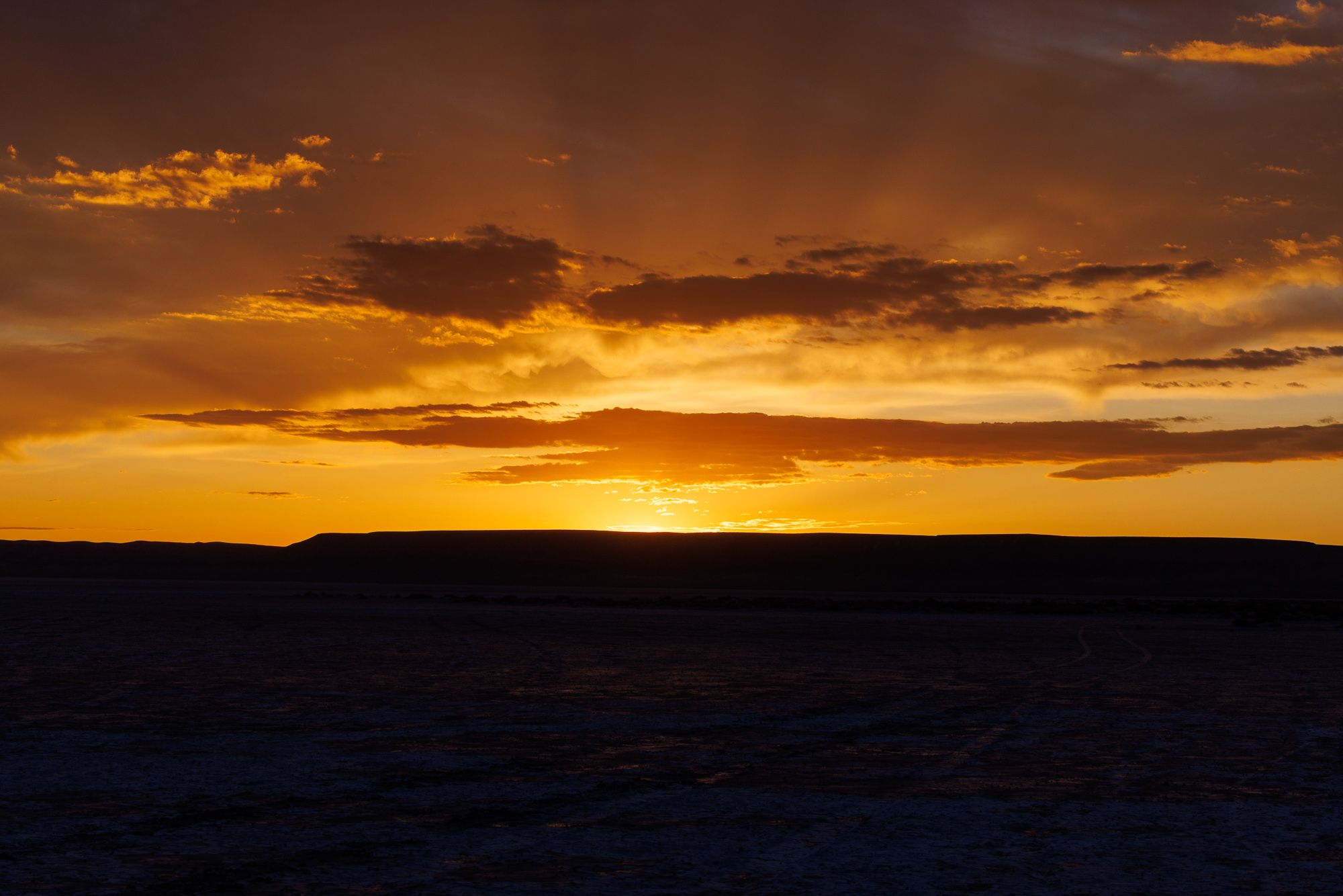 Sunrise on the Alvord Playa, June 6