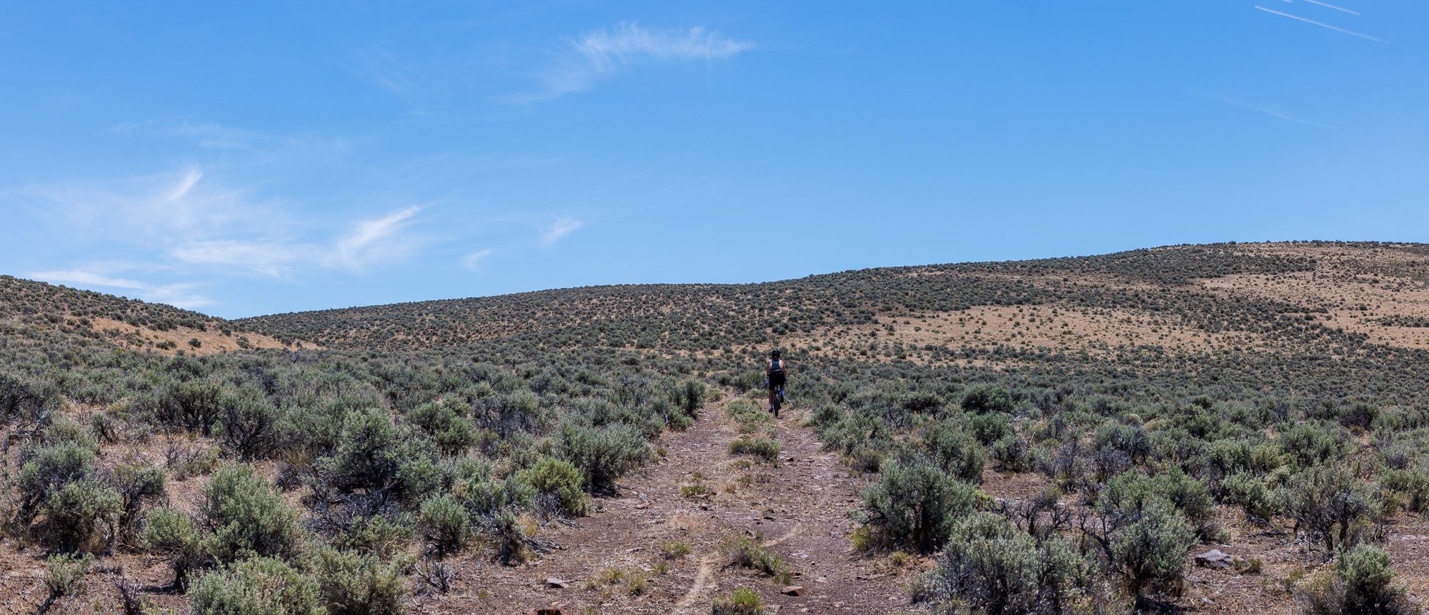 Panorama of rider on faint trail through sagebrush desert toward the hills