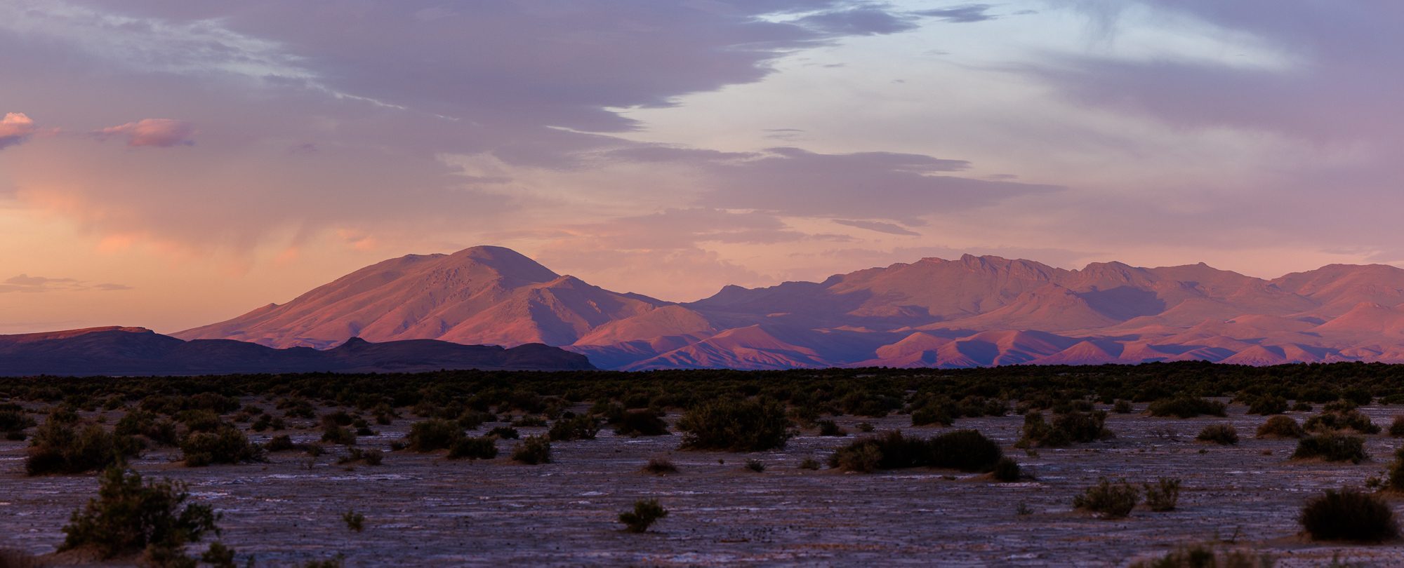 Panorama of the Pueblo Mountains glowing pink and purple at sunrise, sagebrush in the foreground