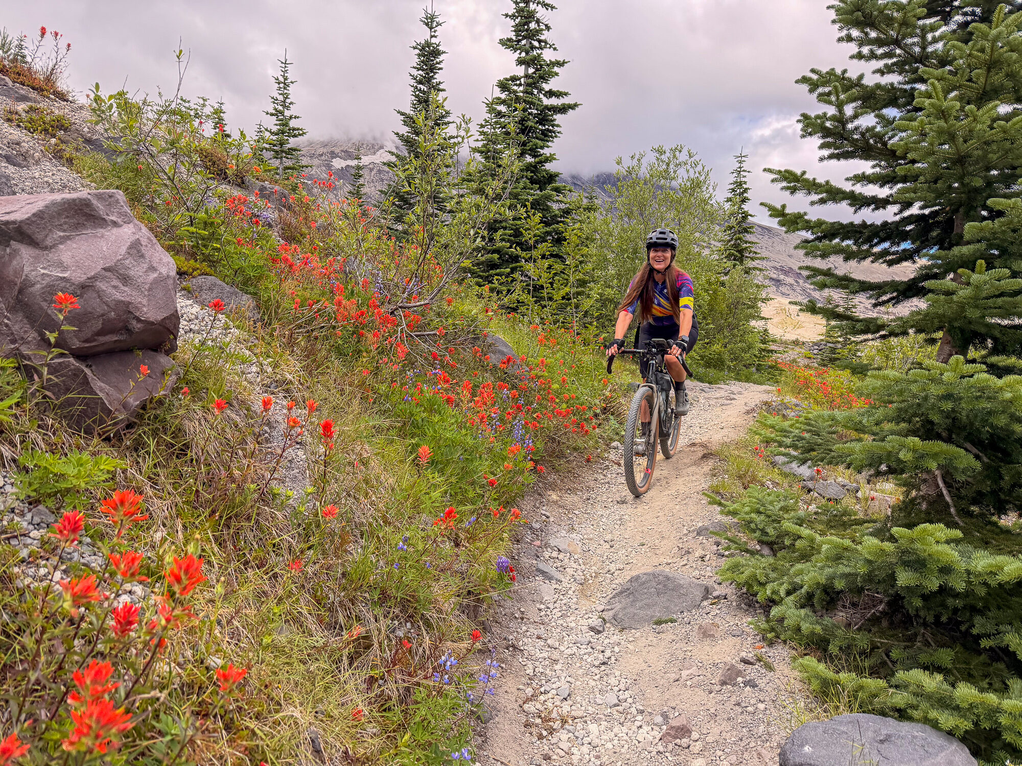 A rider on singletrack lined with red paintbrush and young firs