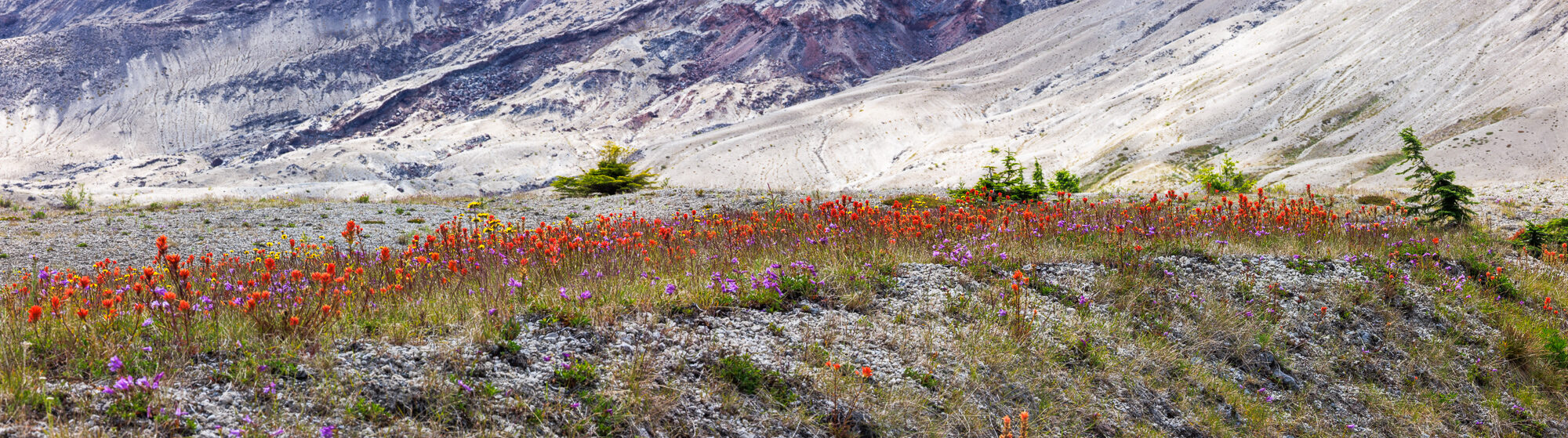 Loowit — Mount St. Helens ride, photo 27