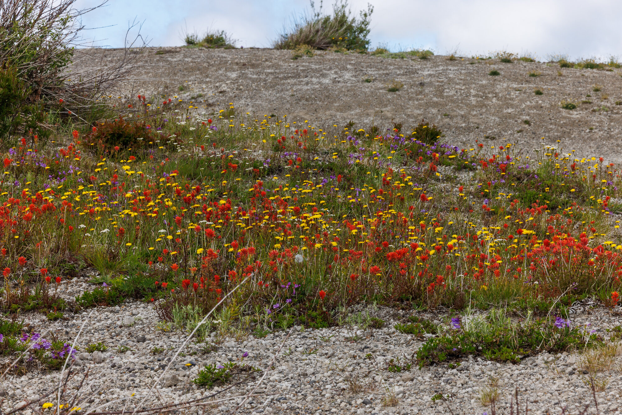 Loowit — Mount St. Helens ride, photo 33