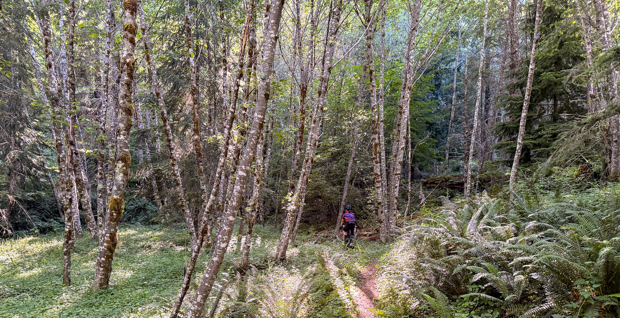 Loowit — Mount St. Helens ride, photo 49