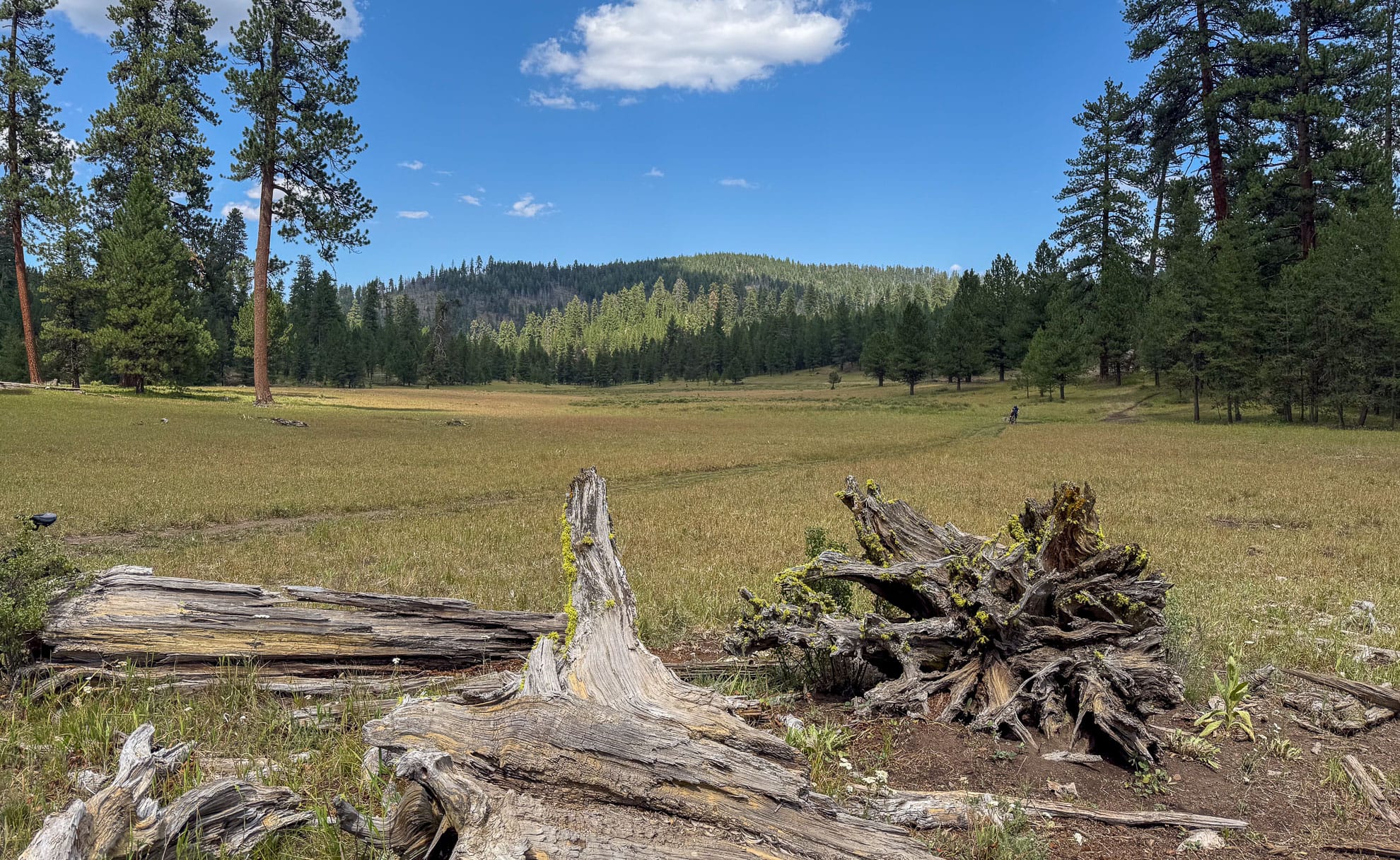 Riding a bicycle across a meadow in the mountains 
